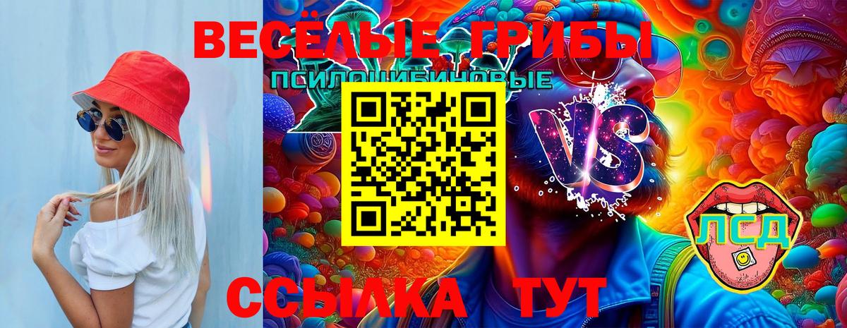 Славянск-на-Кубани  Галлюциногенные грибы прущие грибы  Вход с VPN 
