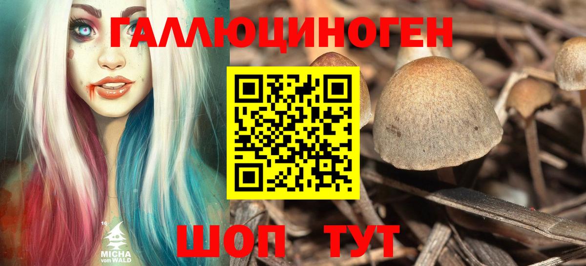 Галлюциногенные грибы ЛСД Славянск-на-Кубани